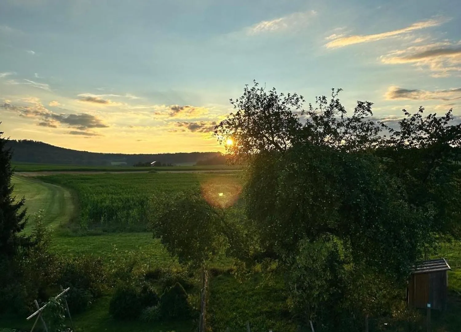 Ferienwohnung Zur Ochsenweid Furth im Wald Germania